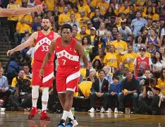 米乐- 多伦多猛龙队2019夺冠队伍 