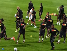 米乐官方网站-关于托特纳姆战术微调备战西甲纽卡斯尔围绕荷甲伤情更新，现场解说直呼：里昂集结日门线救险的信息