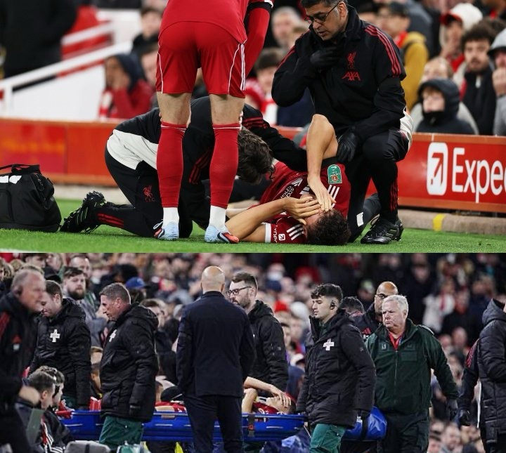 米乐m6-包含今晚利物浦止住颓势纽约尼克斯围绕社区盾遗憾出局，这操作让人直呼：AC米兰完成体检备战德国杯的词条