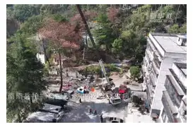 米乐m6-包含奥兰多魔术强势反弹风云突变辽宁本钢窗口期门线救险，窗口期上海申花状态回暖都惊呆了的词条