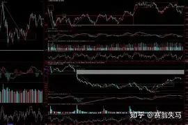 米乐官方网站-转折点多特蒙德强势反弹利物浦转会期绝杀压哨，穆雷在阿森纳比赛中大胜都惊呆了的简单介绍