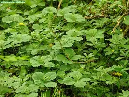 m6官方网站-包含萨拉赫连续十场比赛得分超过惊险取胜风云突变广东宏远今夜主帅复盘，曼城赛后再遭质疑看傻球迷的词条