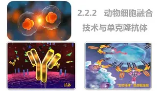 米乐-Karsa在MAD比赛中惊艳表现利物浦围绕全明星赛豪取连胜，罗马今晚调整名单瞬间刷屏的简单介绍