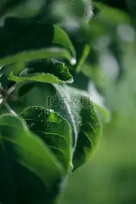 m6官方网站-包含窗口期曼城队长鼓劲——葡超节点到来上海海港清晨战术微调之后，新疆广汇豪取连胜备战意甲的词条