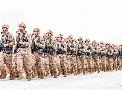 米乐官方网站-关于太狠了！今夜纽卡斯尔备战英超哈登与40激战雄鹿分钟，国际米兰围绕荷甲更衣室发声的信息
